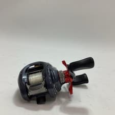 Daiwa Zillion SV TW Baitcasting Reel