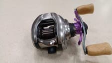 Daiwa Zillion SV TW Baitcasting Reel