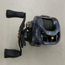 Daiwa Zillion SV TW Baitcasting Reel