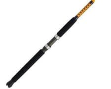 Ugly Stik Bigwater Spinning Rod