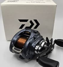 Daiwa Zillion SV TW Baitcasting Reel