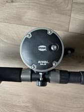 Penn Rival Level Wind Conventional Reel