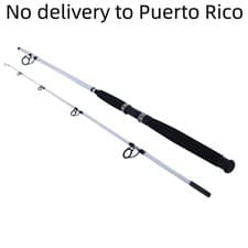 Berkley Big Game Spinning Rod