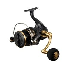Daiwa BG SW Spinning Reel