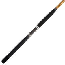 Ugly Stik Bigwater Spinning Rod