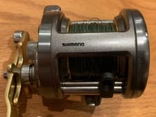 Shimano Tekota Conventional Reel