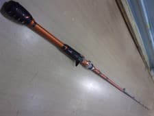 Berkley Lightning Rod Casting