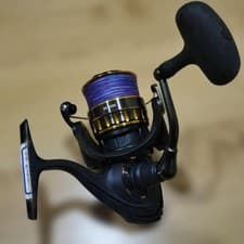 Daiwa BG SW Spinning Reel