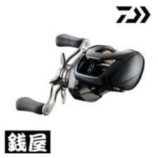 Daiwa Steez SV TW Baitcasting Reel