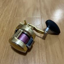 Shimano Calcutta Conquest Baitcasting Reel