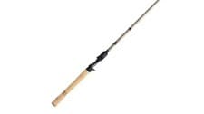 Fenwick HMG Casting Rod