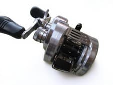Shimano Calcutta Conquest Baitcasting Reel