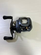 Daiwa Zillion SV TW Baitcasting Reel