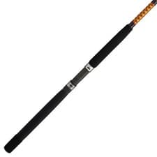 Ugly Stik Bigwater Spinning Rod