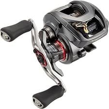 Daiwa Steez SV TW Baitcasting Reel