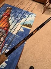 G. Loomis IMX-PRO Casting Rod
